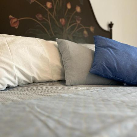 Agriturismo Il Campagnino Cremona Eksteriør billede