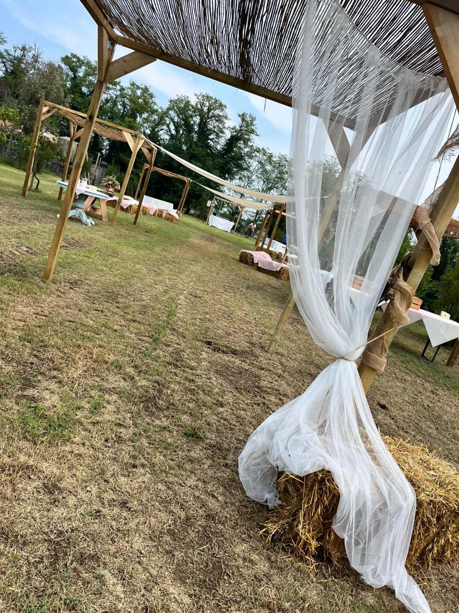 Agriturismo Il Campagnino Cremona Eksteriør billede