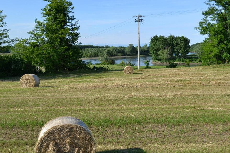 Agriturismo Il Campagnino Cremona Eksteriør billede