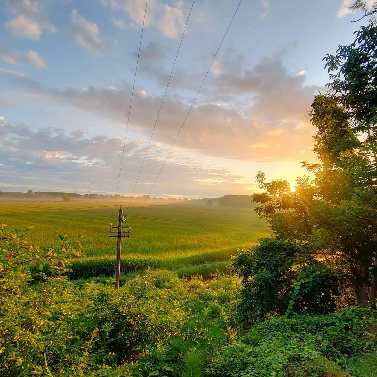 Agriturismo Il Campagnino Cremona Eksteriør billede