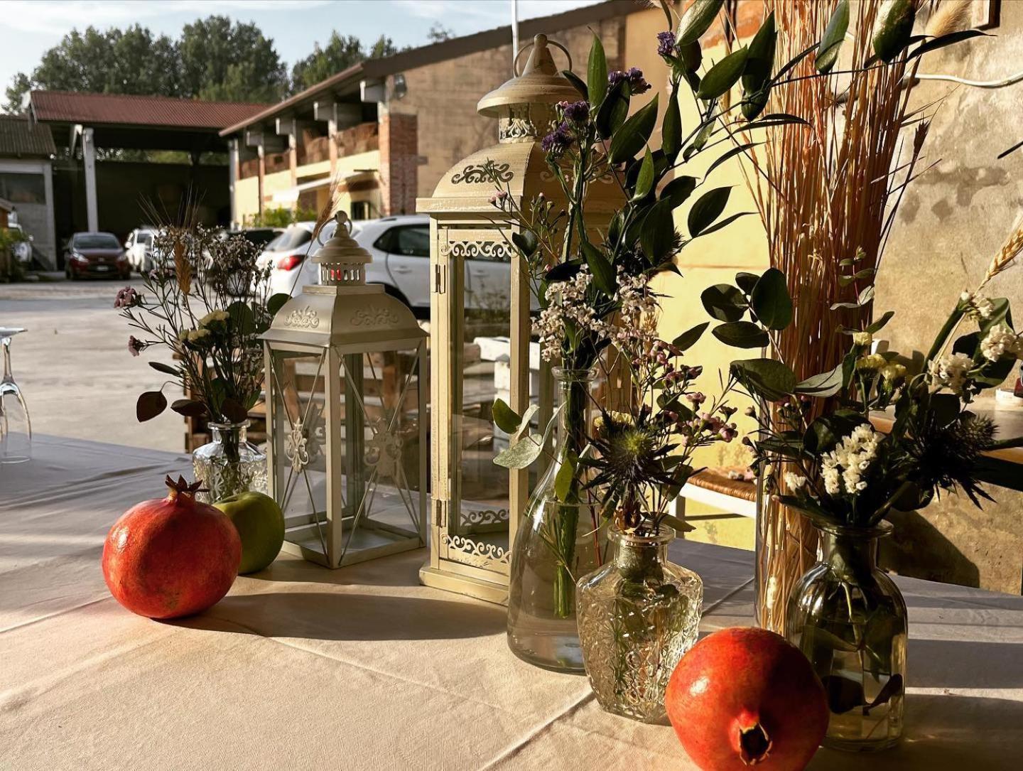 Agriturismo Il Campagnino Cremona Eksteriør billede
