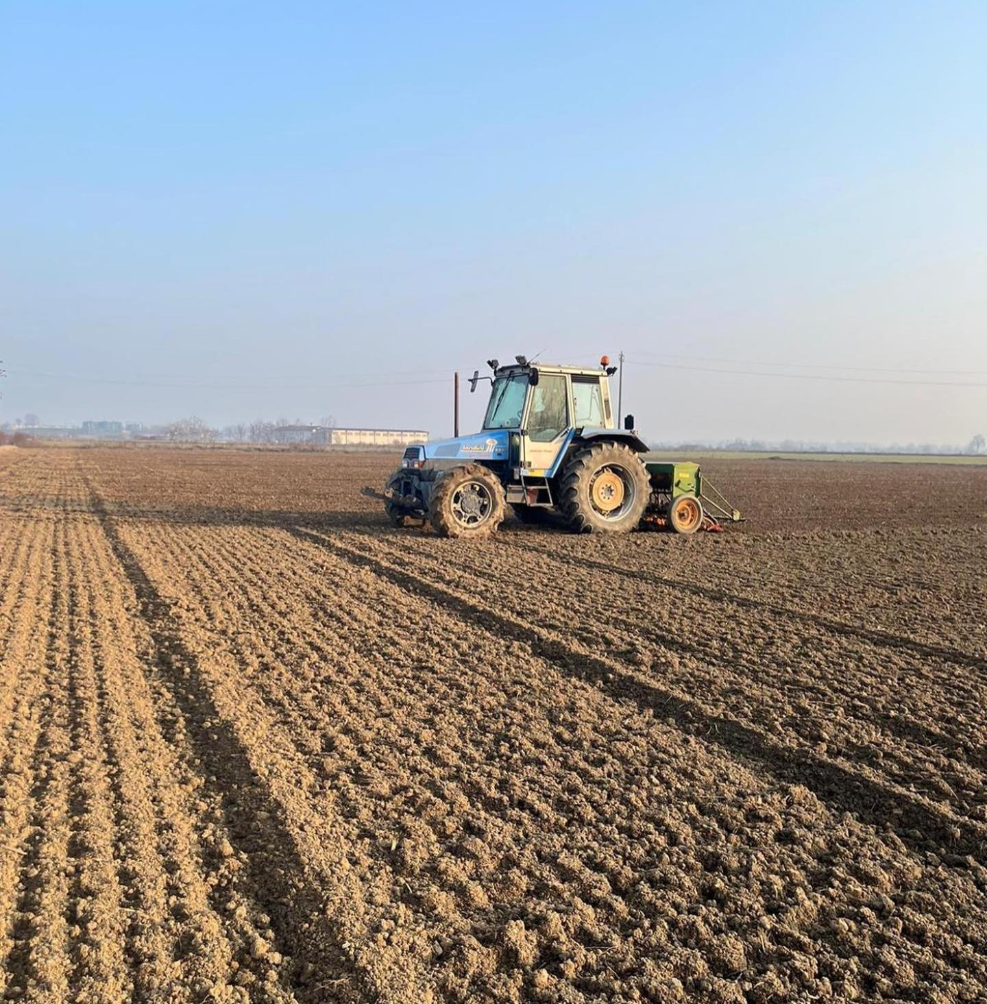 Agriturismo Il Campagnino Cremona Eksteriør billede