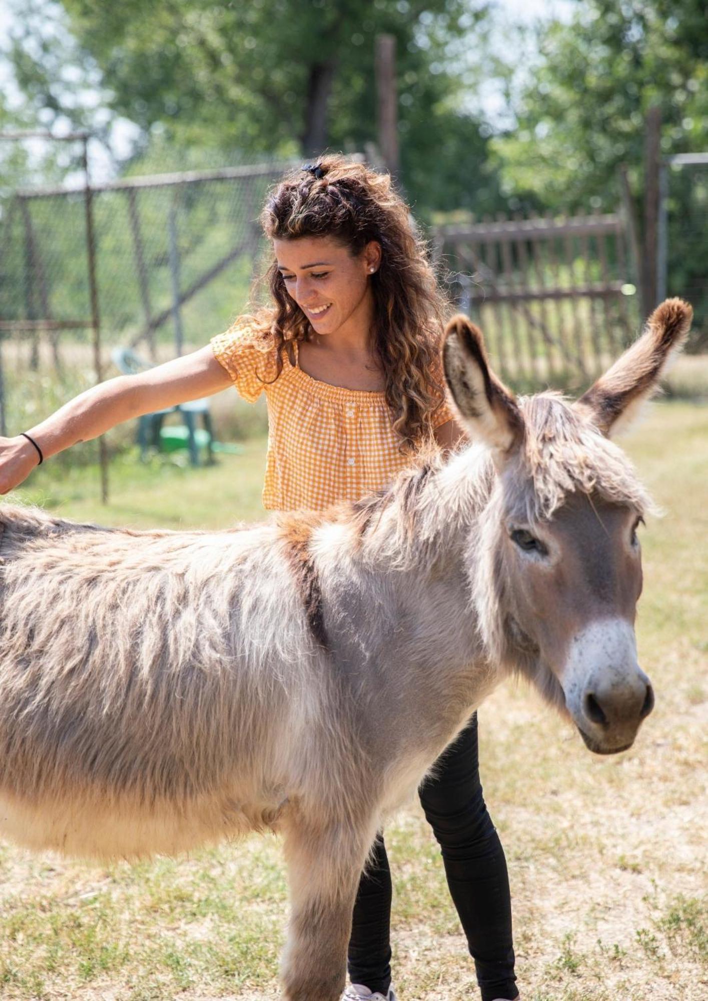Agriturismo Il Campagnino Cremona Eksteriør billede